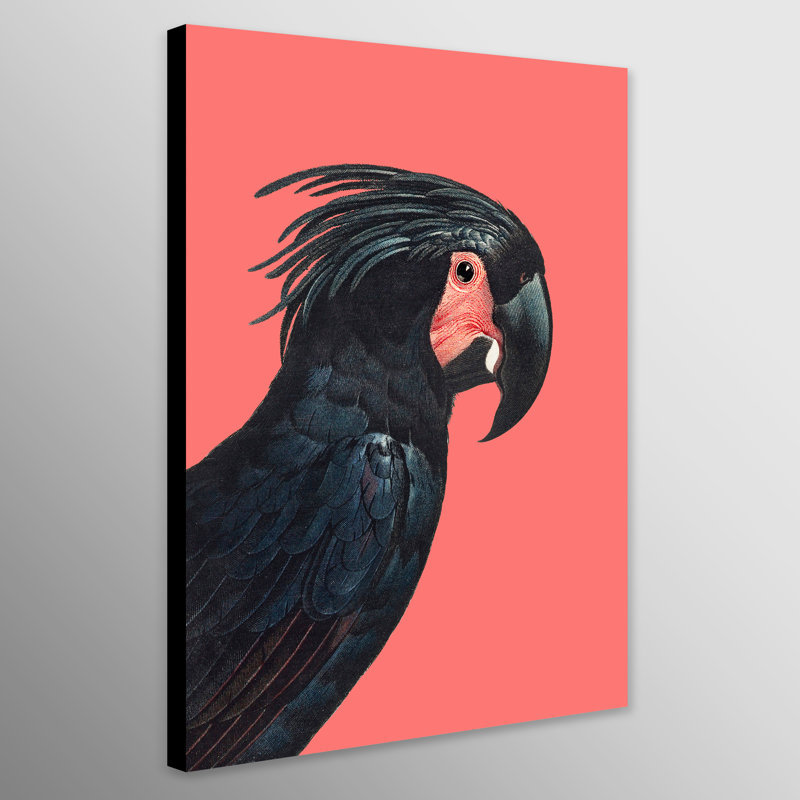 The Palm Cockatoo by Francois Levaillan - Wrapped Canvas Art Prints, 117 cm H x 84 cm W