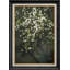 «Flower Blossom Blossom Tree Green Wild Flower Nature», reproduction d'art encadrée-91356227-91356223
