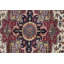 Oriental Area Rug in Beige