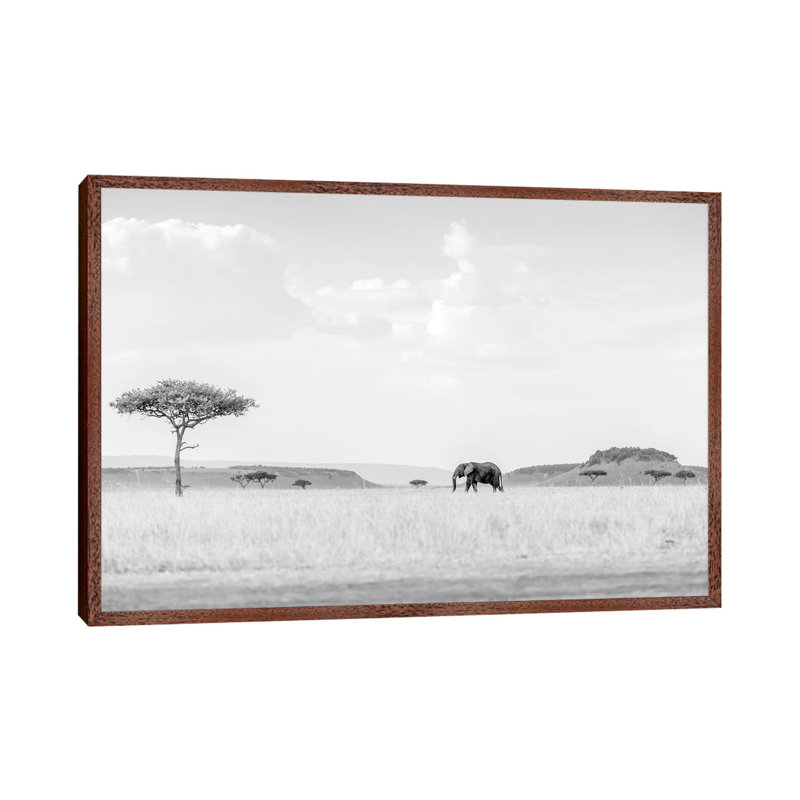 High Key Savannah 1 Piece Wall Art on Canvas, 45.72cm H x 66.04cm W x 3.81cm D, Classic Brown Wood Floater Framed