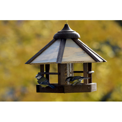 Dekoratives Vogelfutterhaus Ameisha