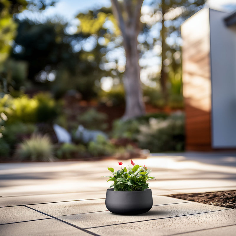 Pot à fleurs en béton Renfrew, H 5,91 po x l 11,81 po x P 11,81 po, Noir anthracite