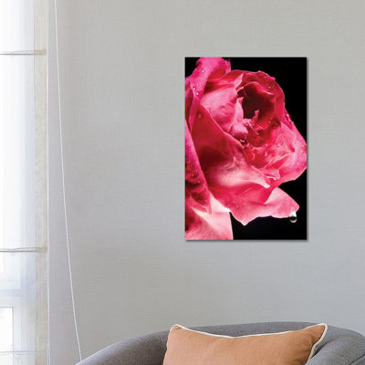 Red Rose Flower 1 Piece Wrapped Canvas Wall Art