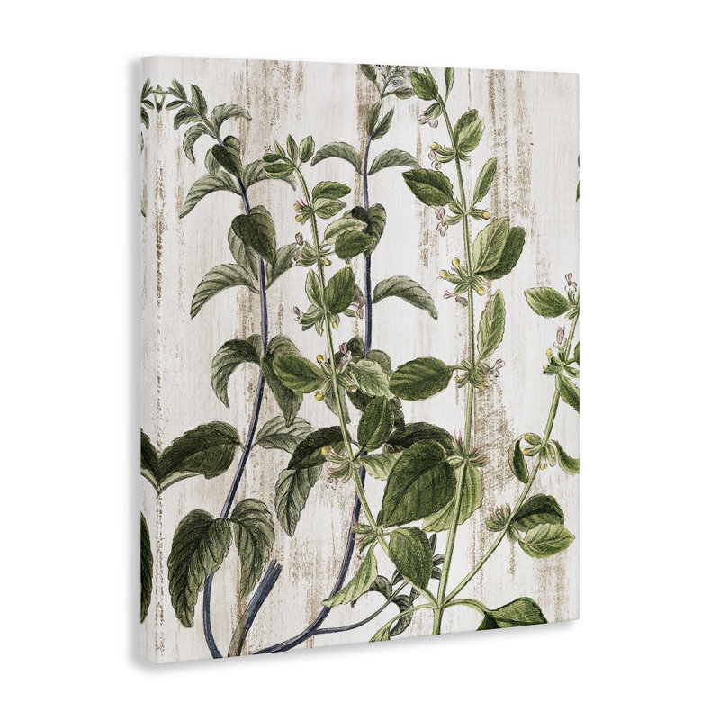 Rustic Botanical Vines Green and Beige Canvas Wall Art