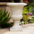 Planters-1744873925