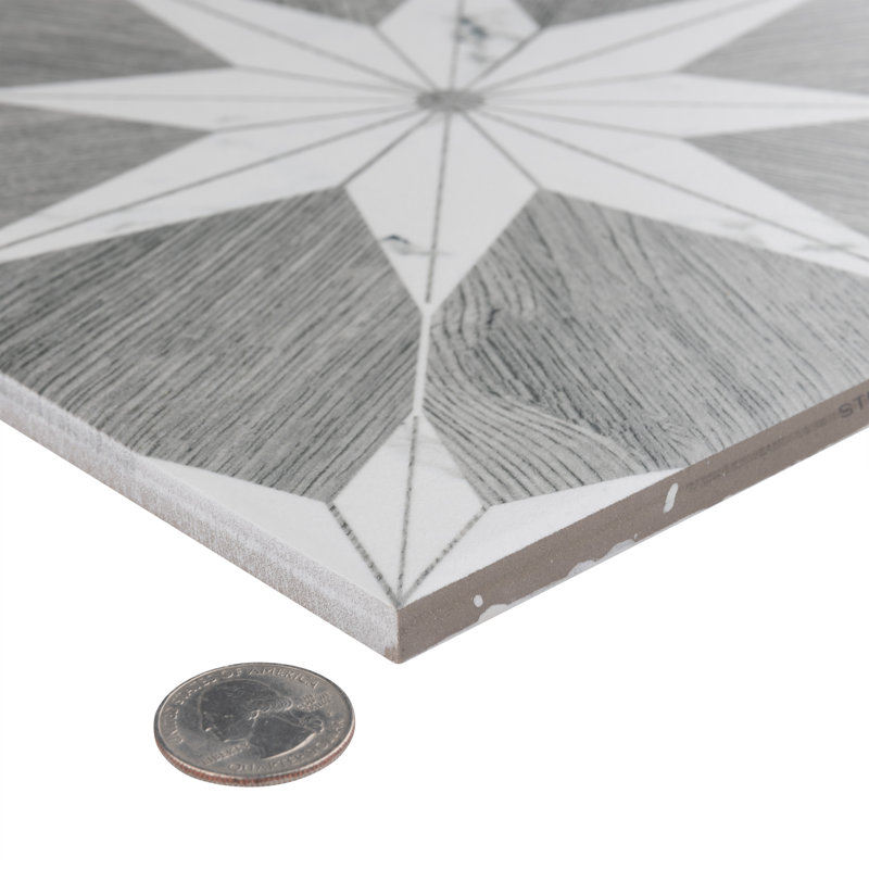 Llama Stella Loire Verso 10" x 10" Porcelain Marble Look Wall & Floor Tile, Verso Silver Smoke