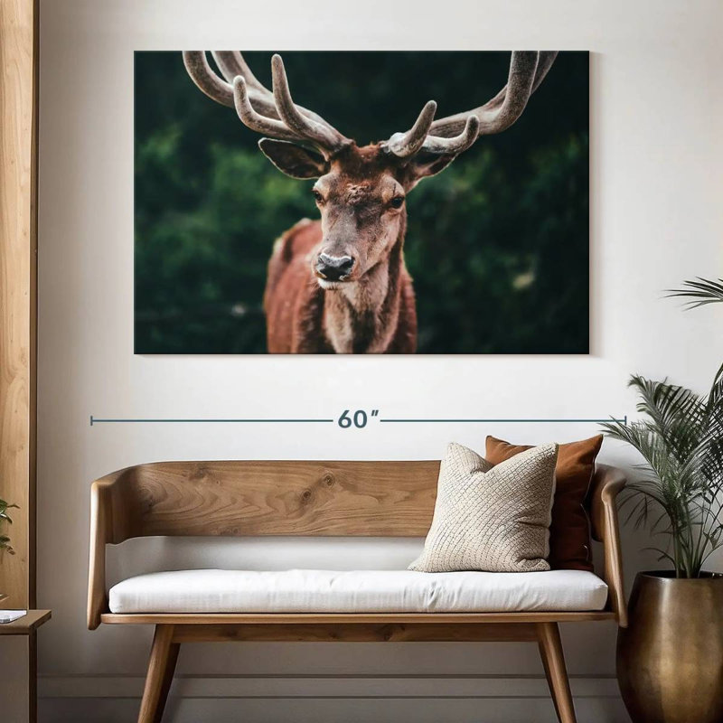 Majestic Red Deer, 34" H x 51" W