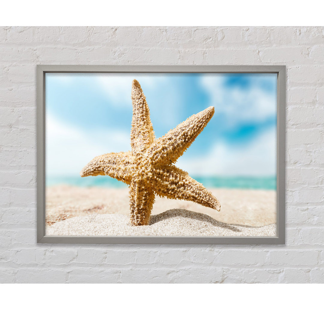 Starfish In Detail Sands - Single Picture Frame Kunstdrucke auf Leinwand