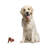 Animals Figurines & Sculptures