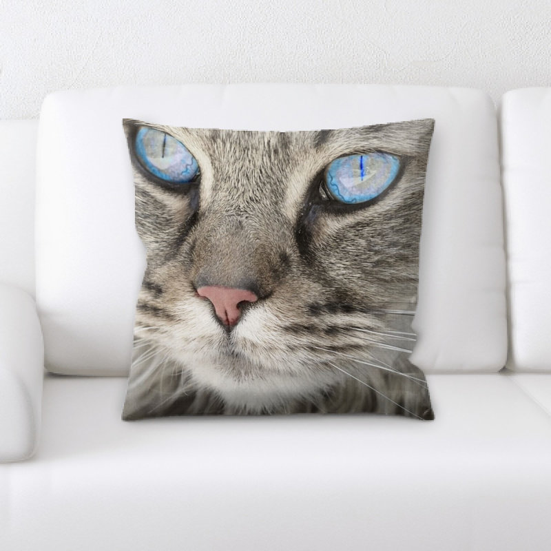 Coussin pour chat
