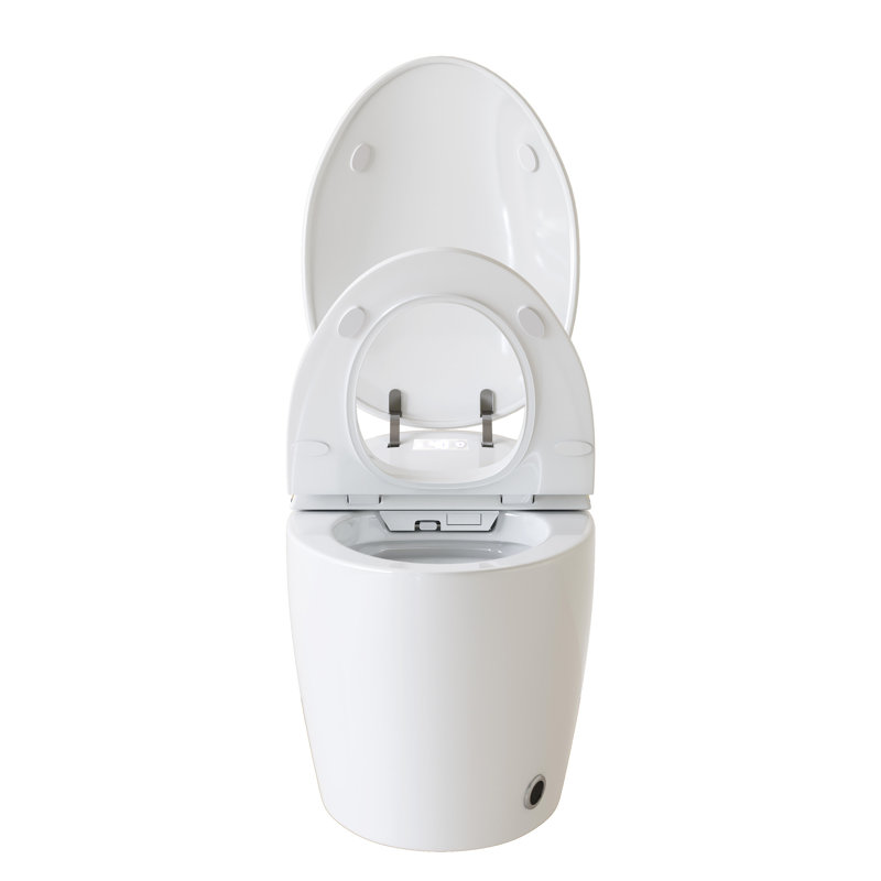 Toilette intelligente avec bidet et sécheuse, couvercle de siège automatique, système de jet siphonique, alimentation en eau chaude, modes de lavage multiples, technologie automatique à télécommande sans fil, eau instantanée, options, contrôle