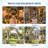 Winado 7 ft Arched Solid Wood Wedding Arbor Backdrop for Ceremony and Party