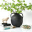 Approx.14" Pottery Vase with Two Decorative Handles Warm Soil Tone (6.3" Opening)-263527504-263527506