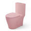 Toilette monobloc en céramique rose à motif floral de 43 cm (17 pouces) avec abattant allongé à fermeture douce et double chasse d'eau