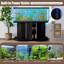Armoire décorative, support d'aquarium avec prise de courant pour aquarium