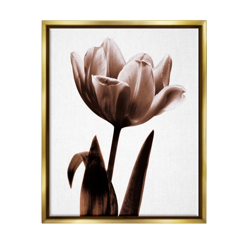 «Blooming Tulip Silhouette Floater» par Caroline Kelly, H 21 po x l 17 po x P 1,7 po, Cadre flottant métallique doré