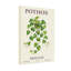 Plantes et fleurs Pothos suspendus à motif de feuilles vertes-574546699