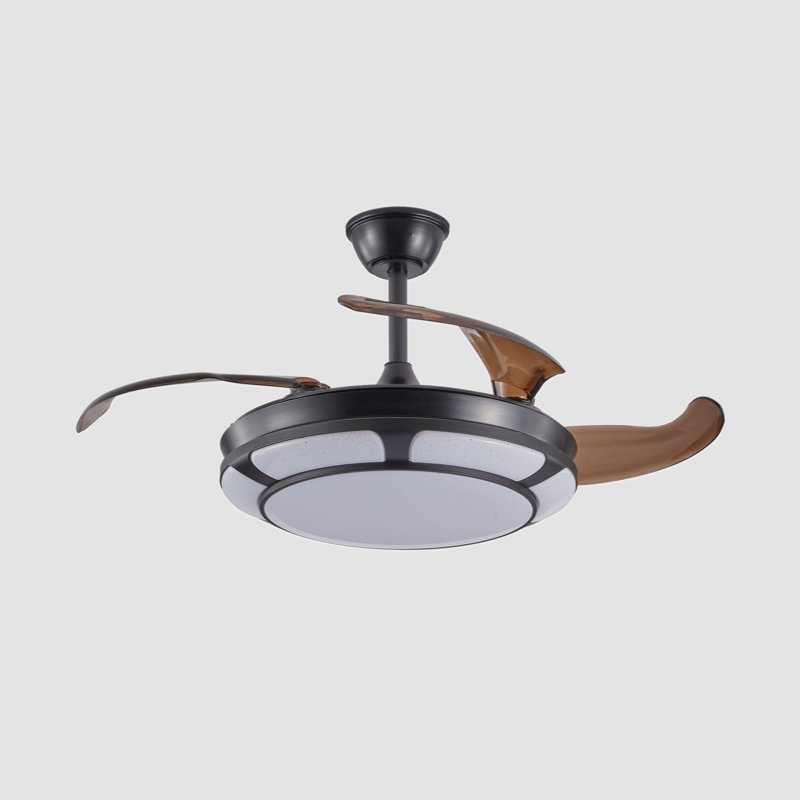 Kymiere 18.1'' Ceiling Fan with LED Lights