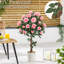 Rubens 91.4cm Tree in Pot
