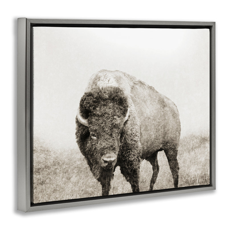 Bison Distressed Portrait  Canvas Wall Art by Dan Meneely, Luster Gray Floater Frame, 25" H x 31" W x 1.7" D