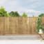 Bamboo Border Fencing