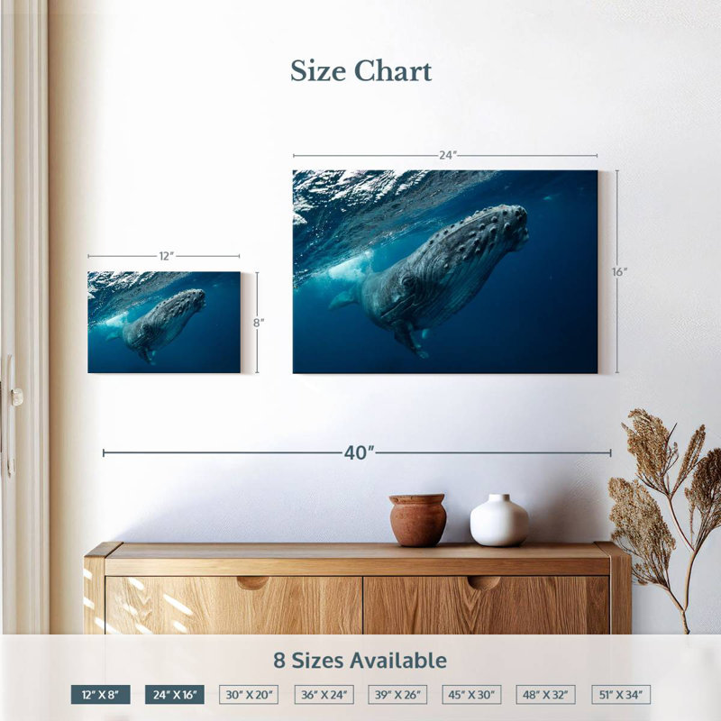 Whale Near Surface, 16" H x 24" W