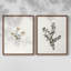 «Vintage Floral XVII», impression giclée sur cadre - ensemble de 2-741068190-741068185