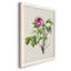 «Pretty Pink Botanicals V», reproduction sur toile encadrée-424888224-424888254