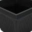 Planter-1849224924-1849224908-1849224910