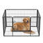 Parc pour animaux de compagnie en métal, parc pour chiots, enclos pour chiens, panneaux d'exercice pour animaux, noir