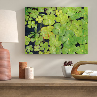 " Lily Pads " by Karyn Millet
