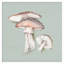 «Amanita Mushroom» par Eli Jones, reproduction d'art encadrée sur bois-998321950