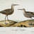 " Aviary Sketch III "-22188339-28043103-28043105