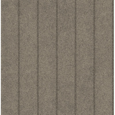 Rouleau de papier peint Somdevi L 33 pi x l 20,5 po
