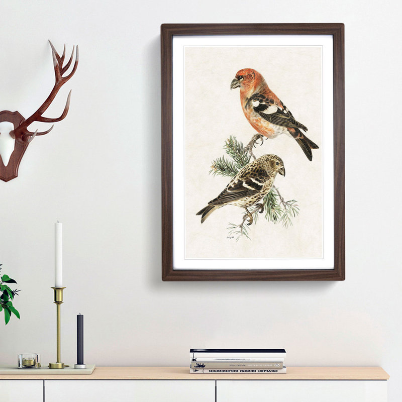 Crossbill Birds by Von Wright - Picture Frame Painting Print, 48cm H x 36cm W x 2cm D, Walnut Framed
