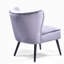Philip Velvet Slipper Chair-32132640