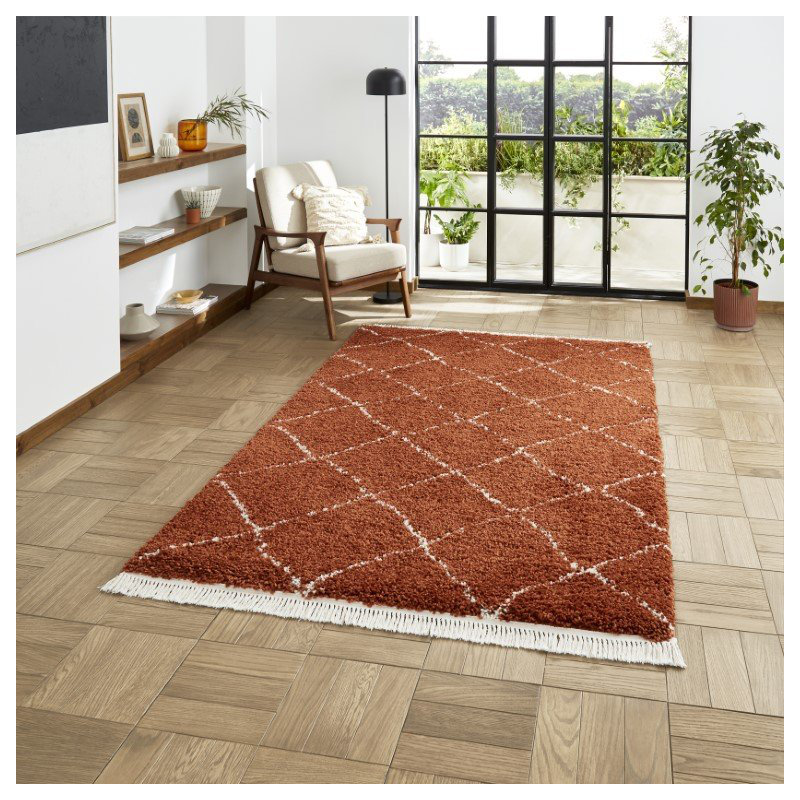 Pechler area rug Machine Woven Rust, Rectangle 120 x 170cm