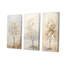 Minimalisme, arbre d'érable beige Melody - arbre érable, ensemble de 3 reproductions d'art sur toile-639704712-639704716