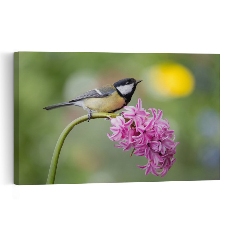 Mésange charbonnière sur jacinthe - Oiseau délicat et vibrant - Illustration murale nature, H 24 po x l 36 po
