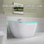 Contemporary 65" x 30" Acrylic Freestanding Oval Bathtub and Tub Set