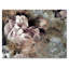 «Grunge Silk Nature Flower» - décoration murale moderne en toile-752014540-752014580