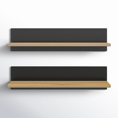 Tilden 2 Piece Picture Ledge Wall Shelf
