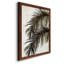 Palmier II - cadre photo, impression sur toile-61317207-61317211