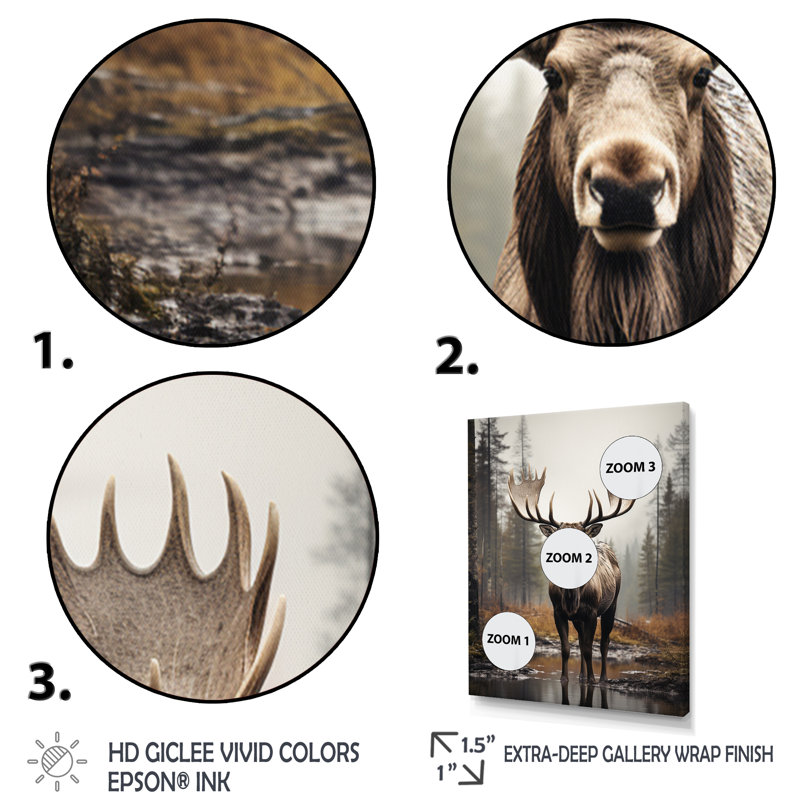 «Aydrianna Brown Moose», impression monochrome sur toile, H 32 po x l 24 po x P 1 po, Toile tendue