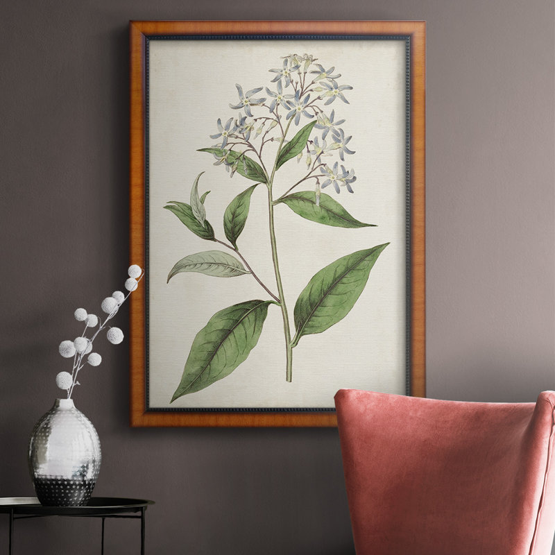 Toile encadrée de qualité supérieure Antique Botanical Collection, H 27 po x l 18 po x P 2,5 po