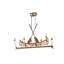 Ambarisha 8 - Light Chandelier