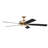 60'' Ceiling Fan with LED Lights-1494153695