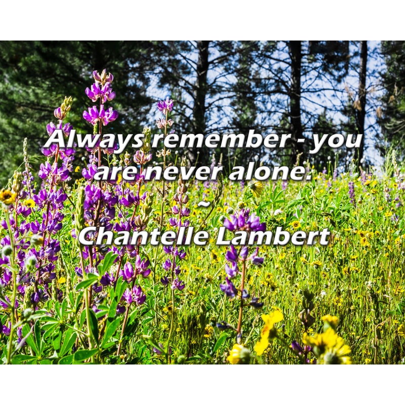 Chantelle Lambert Citation: N'oubliez jamais: vous n'êtes jamais seul., H 15 po x l 18 po