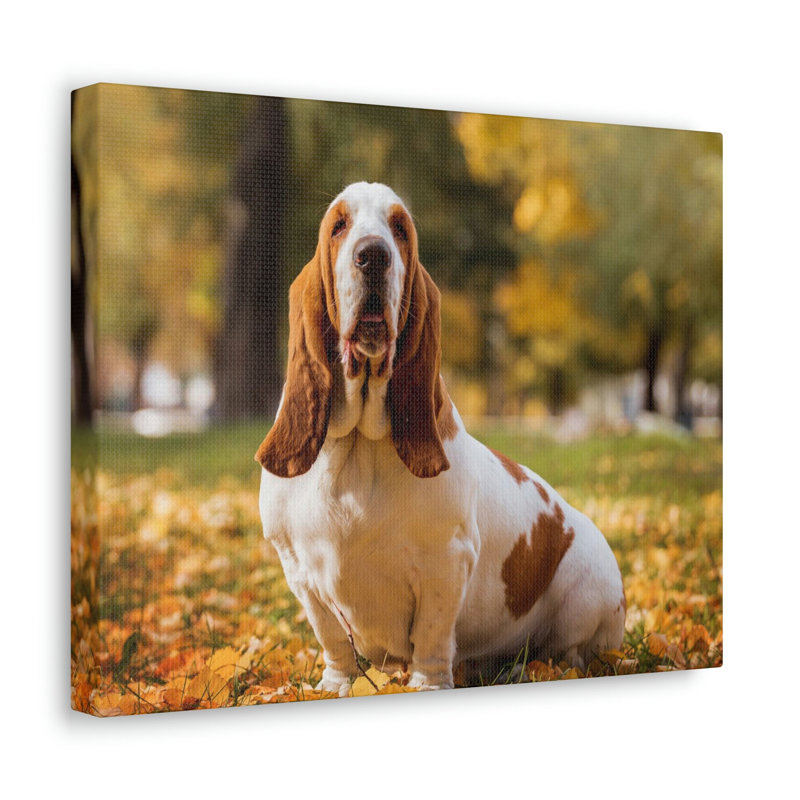 No Frame Print on Canvas, 30.48cm H x 45.72cm W