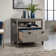 Pannell 32.28'' Wide 1 -Drawer File Cabinet